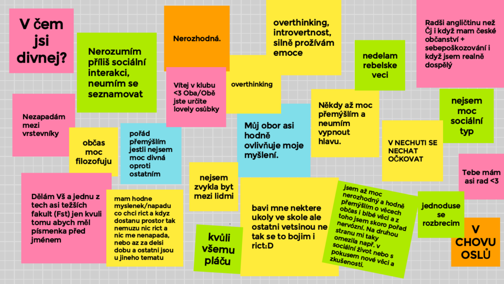 DIV_NEJ - nástěnka
